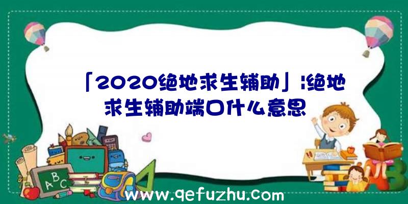 「2020绝地求生辅助」|绝地求生辅助端口什么意思